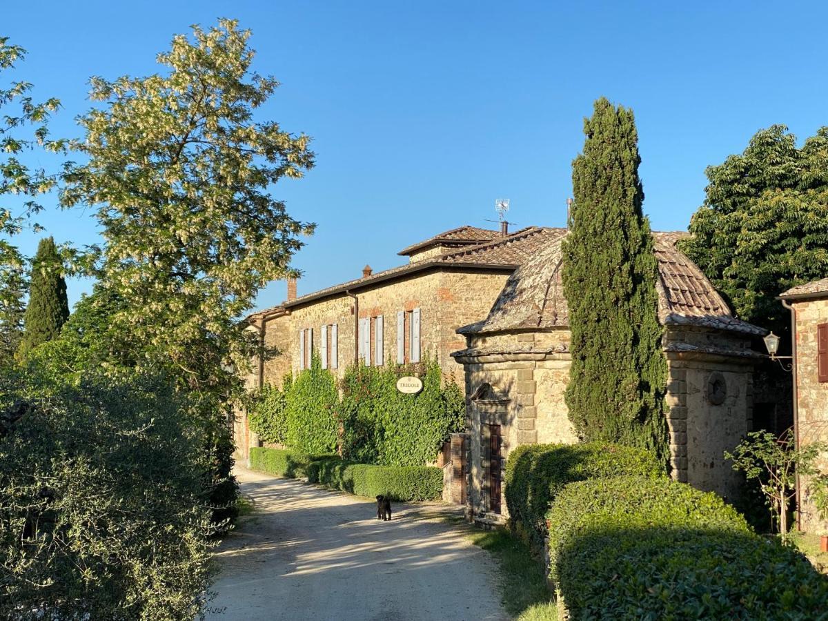 Tregole Appartement Castellina in Chianti Buitenkant foto